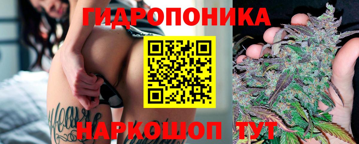 Бошки марихуана гибрид Шадринск